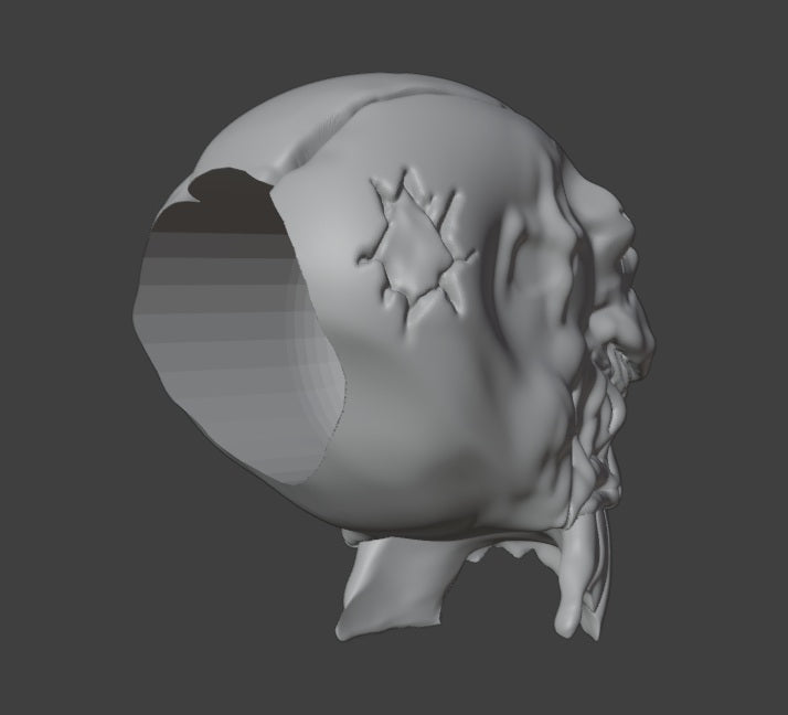 1/12 Scale The MAXX Battle Damaged head