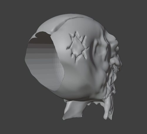 1/12 Scale The MAXX Battle Damaged head