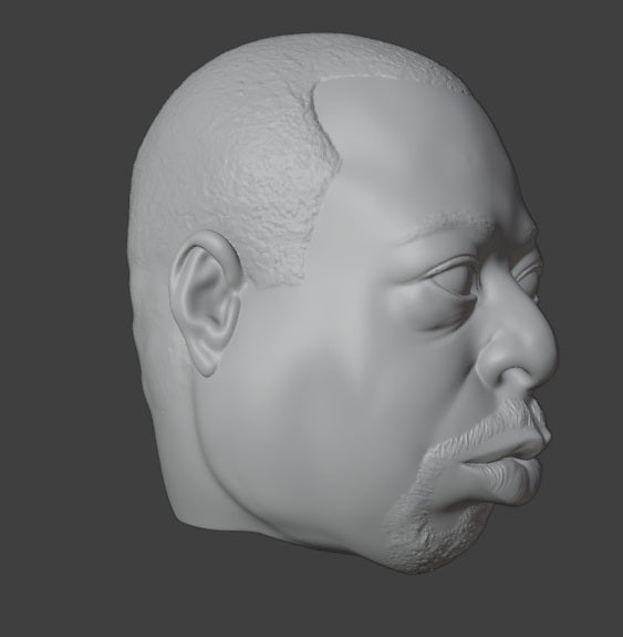 Beetlejuice headsculpt (howard stern)