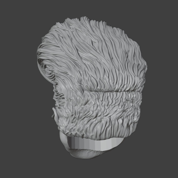 Johnny Bravo 1/12 Scale Head